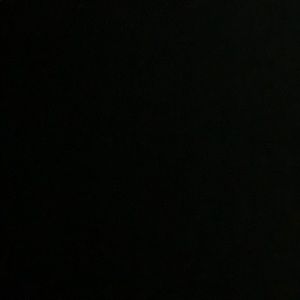 Meet your Posher, Lily